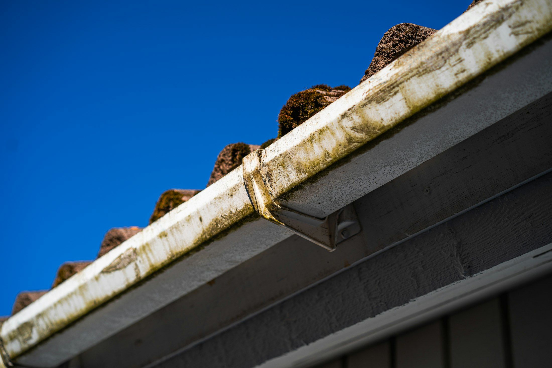 Gutter with debris along a roof edge A. Dawson Roofing Services Dunfermline