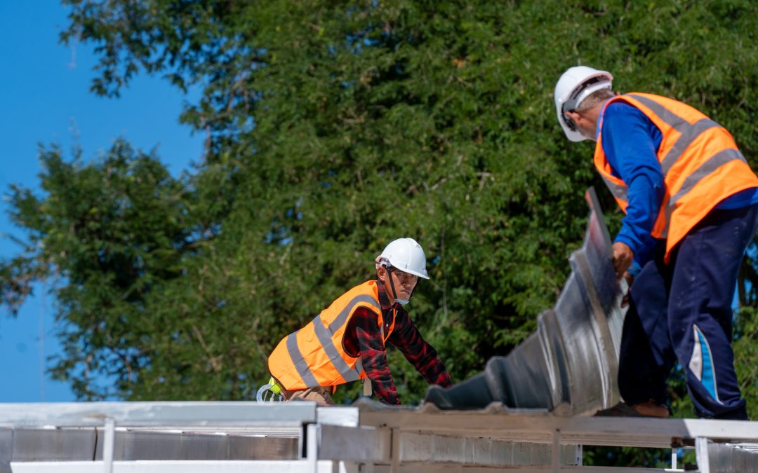 Signs That You Need A Professional Roofer Now